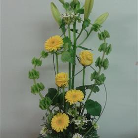 fwthumb2013-10-04 09.00.03.jpg